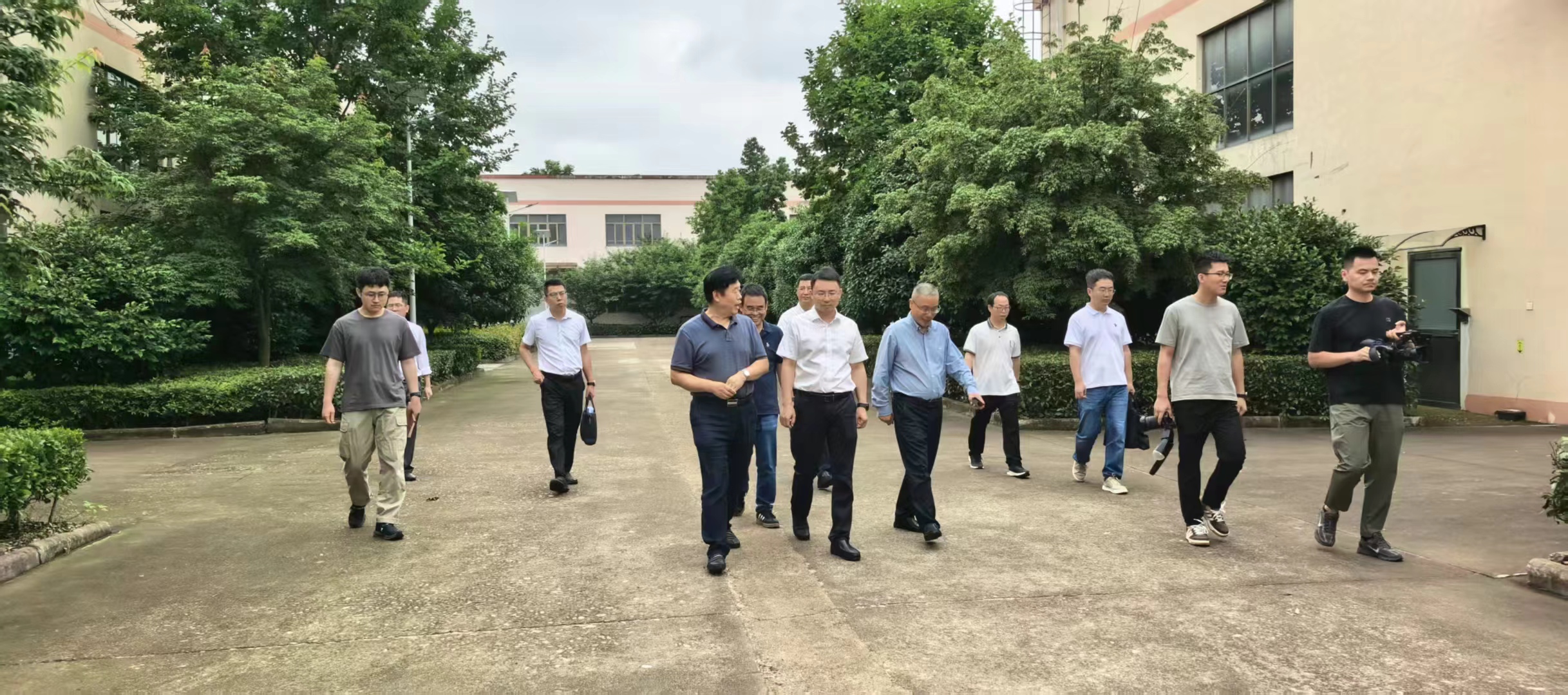 Shuai Chaohui, Party Chief of Wucheng District, Tours JinHua Fingered Citron Ind